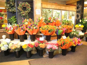Flower Shop Owner Texas